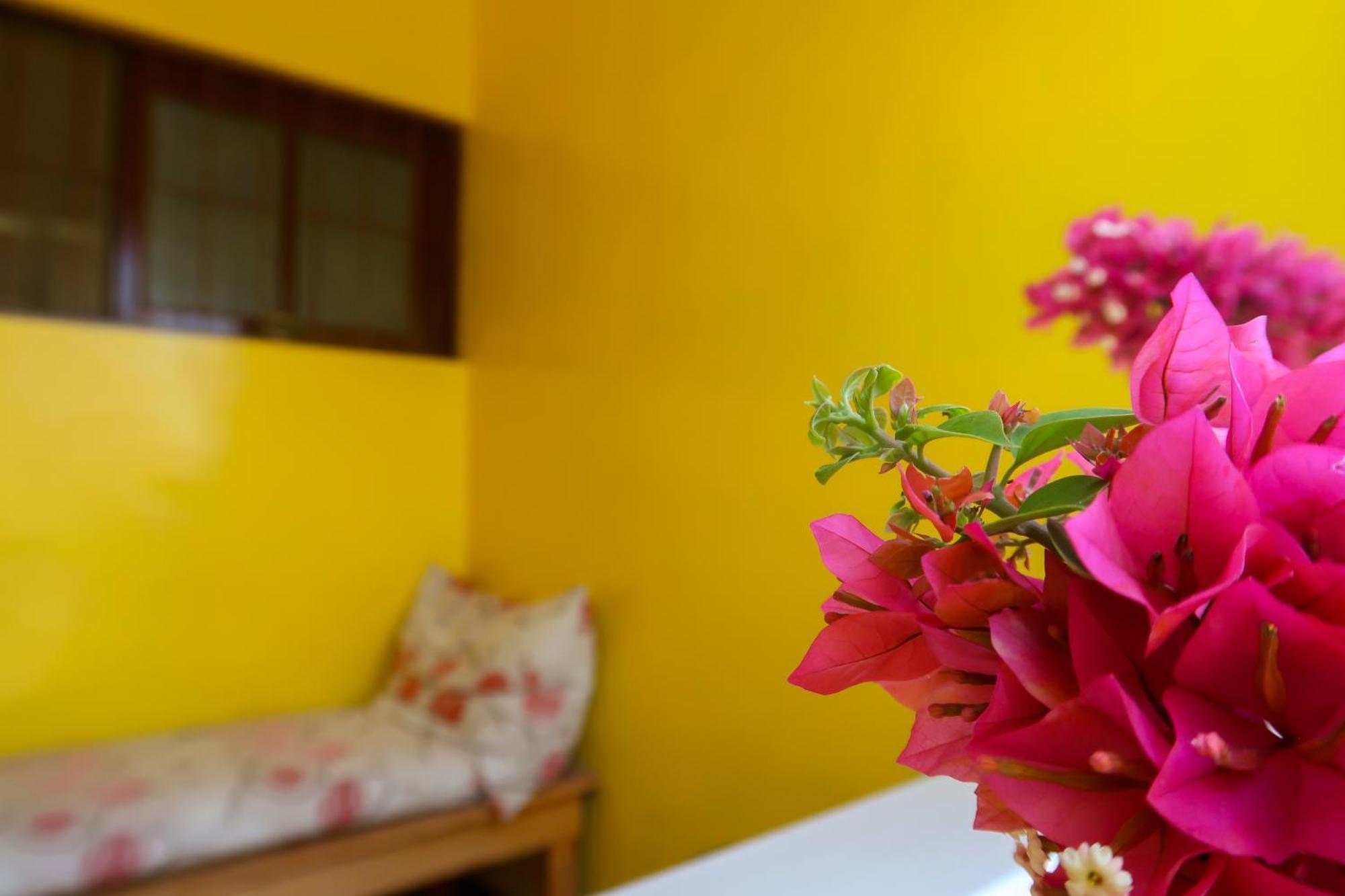 O Jardim Do Vinho, Ac Bed and Breakfast Πράγια Εξωτερικό φωτογραφία